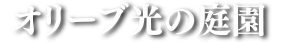 【公式】杉並区 樹木葬 オリーブ光の庭園